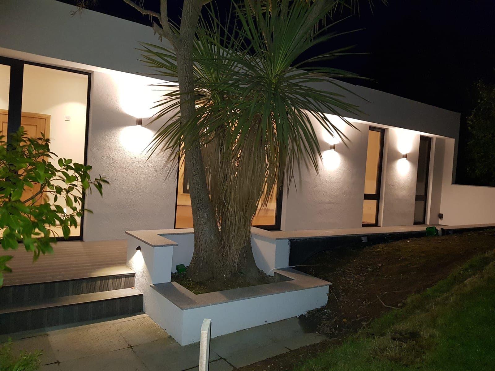 Palm in a raised rendered planter beside the new steps